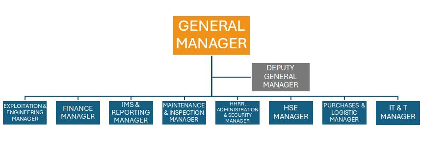 Org Chart